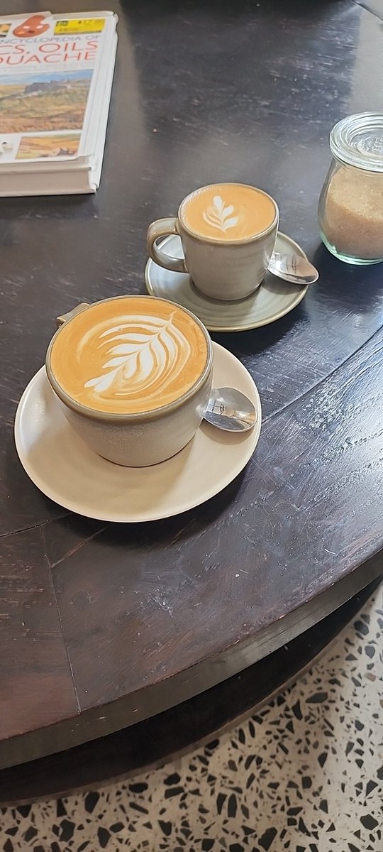 gregamigo's tweet photo. Coffee Tweet https://t.co/PxKUSpNx9s