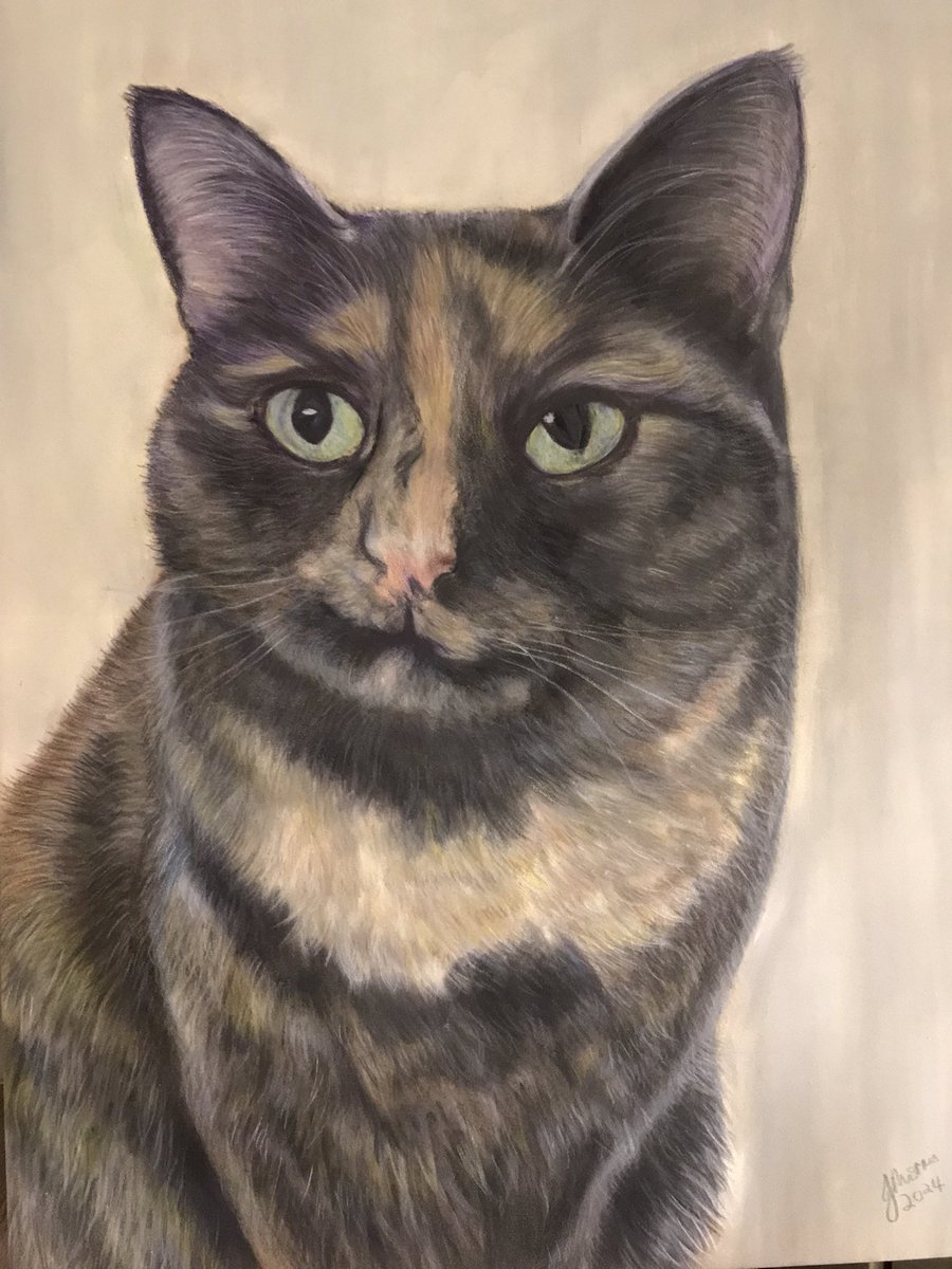 My latest pet portrait 🐈‍⬛✍️❤️