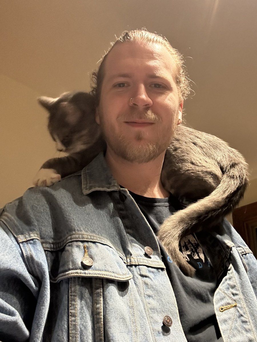 Working is stupid I just want to hang out with my cats.