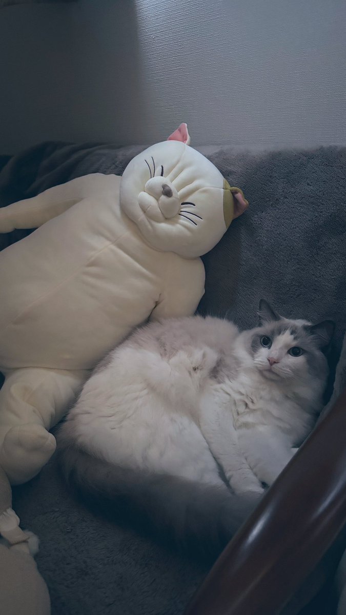 むたさんとわたさん☺️