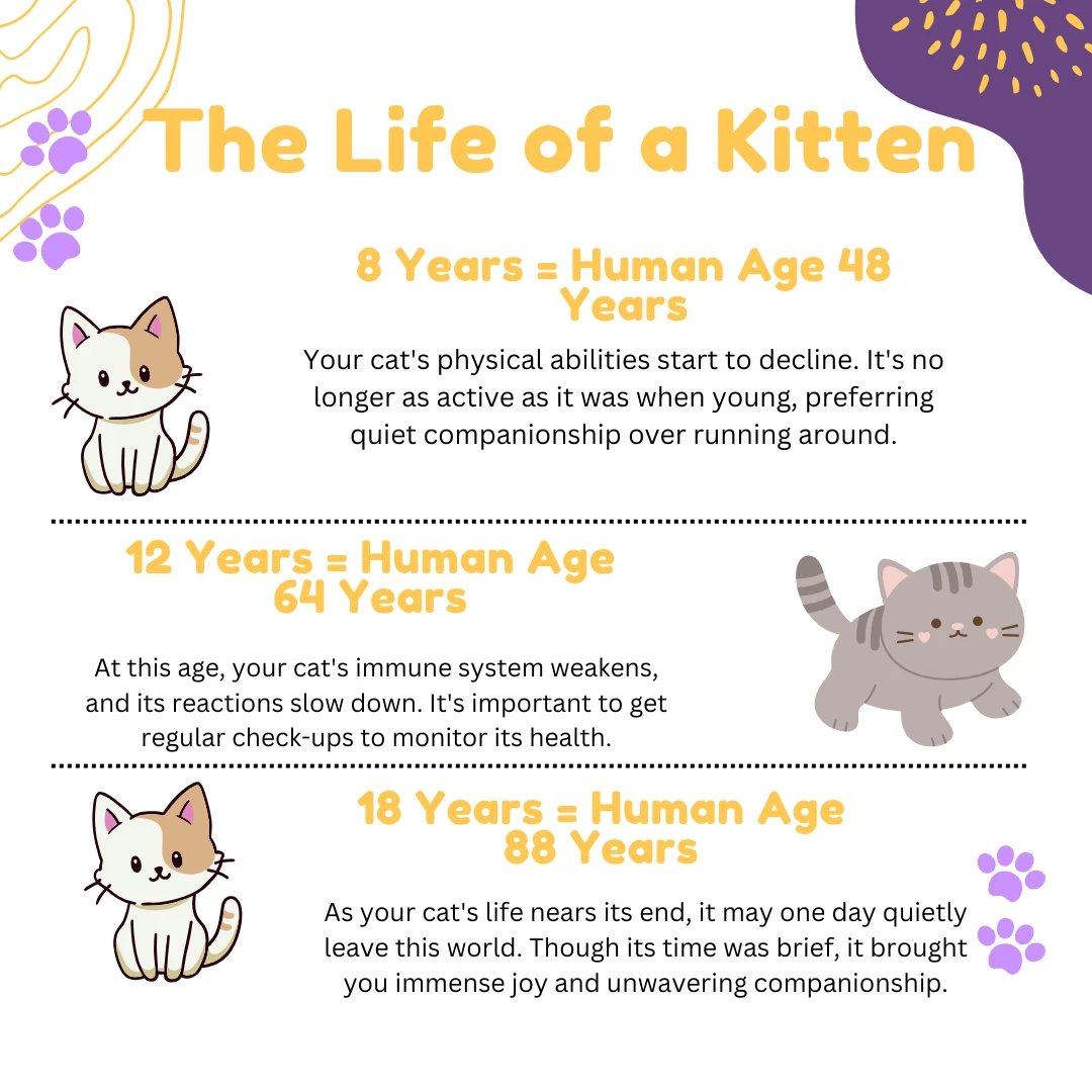 #boisepetsitters #boisepetsitting #petsitting #pets #dogs #dogwalking #cats #boisedogs #boisecats #catsitting #boiseidaho