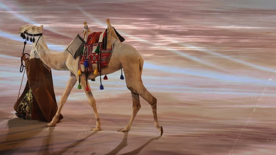 المستقبل خليجي #خليجي_زين26