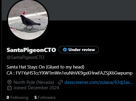 SantaPigeonCTO's tweet photo. TG and Dex updates incoming https://t.co/559d9pUt5B
