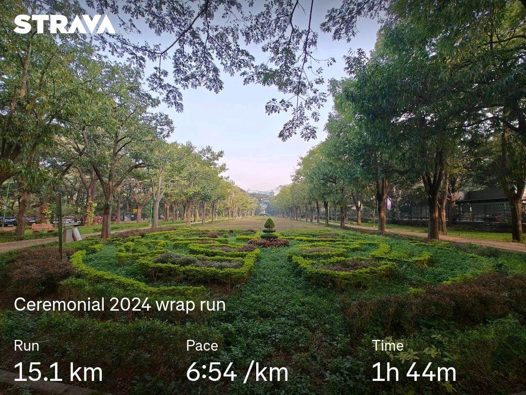I wonder if I would have taken to running if it weren't for this city - wonderful weather all year around and half the population in Cubbon park every single Sunday! 

While I might run a bit more this year, was good to have a ceremonial final run at Cubbon!