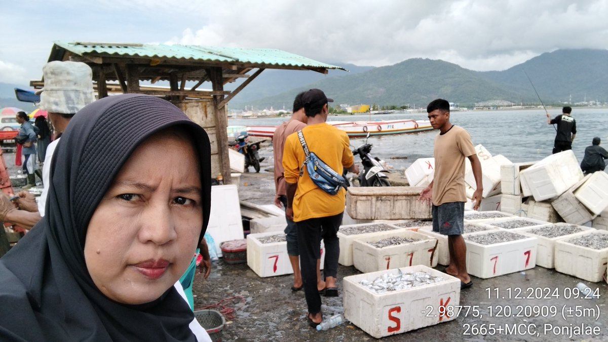 AsridaSyafri's tweet photo. Rabu (11/12/2024), Asrida Syafri, Luhkan Kota Palopo, KUB Mekar sari, Kelurahan Pontap, melaporkan hasil tangkapan ikan teri sebanyak 11 cool box, harga jual Rp. 250.000/cool box
#GiatLuhkanSatminkalMaros
#KotaPalopo
#Tangkap https://t.co/Zaz7qVCiKj