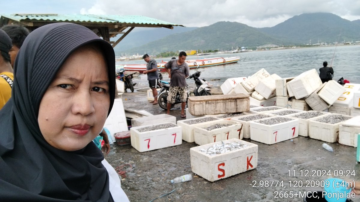AsridaSyafri's tweet photo. Rabu (11/12/2024), Asrida Syafri, Luhkan Kota Palopo, KUB Mekar sari, Kelurahan Pontap, melaporkan hasil tangkapan ikan teri sebanyak 11 cool box, harga jual Rp. 250.000/cool box
#GiatLuhkanSatminkalMaros
#KotaPalopo
#Tangkap https://t.co/Zaz7qVCiKj