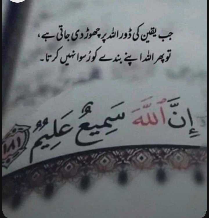 mujahidalam1234's tweet photo. Assalamu alaikum X family 

Good morning have a nice day 🌞 https://t.co/ygYL6XjsCc
