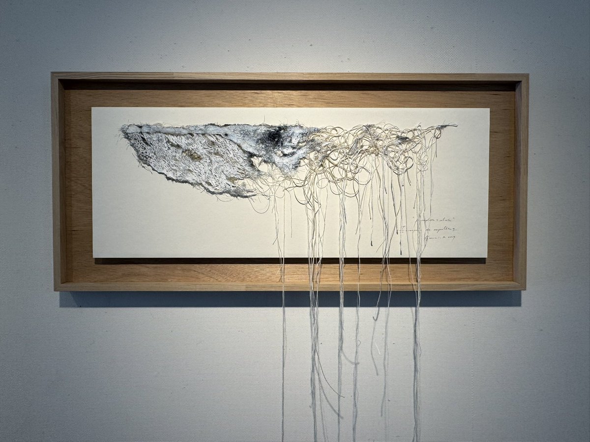 GALLERY__SOU's tweet photo. 鈴木果澄 個展「世界を孕む」-Encompass the storytelling.

本日最終日です。
圧巻の作品。
ぜひご覧ください。

✳︎本日最終日は17時まで https://t.co/2Rx3JjvMJI