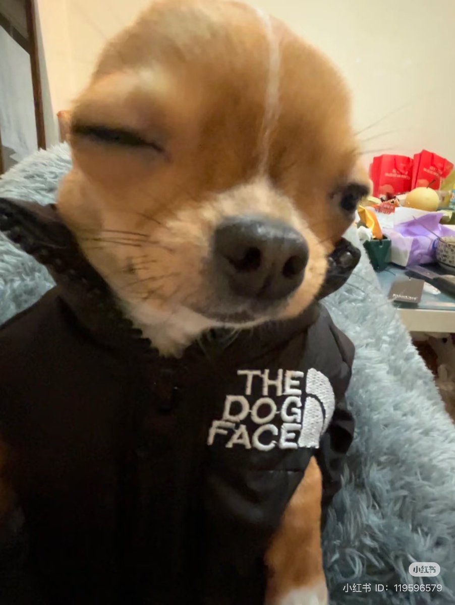 twaniimals's tweet photo. https://t.co/Pd8z2mymvi