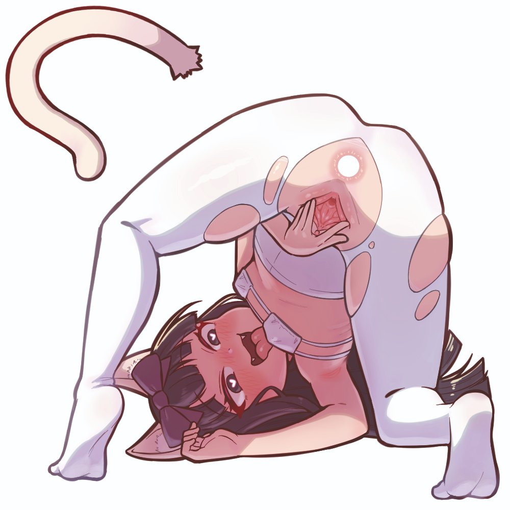 #2024年自分が選ぶ今年の4枚 
うちの子3枚と春画要求姉貴1枚 