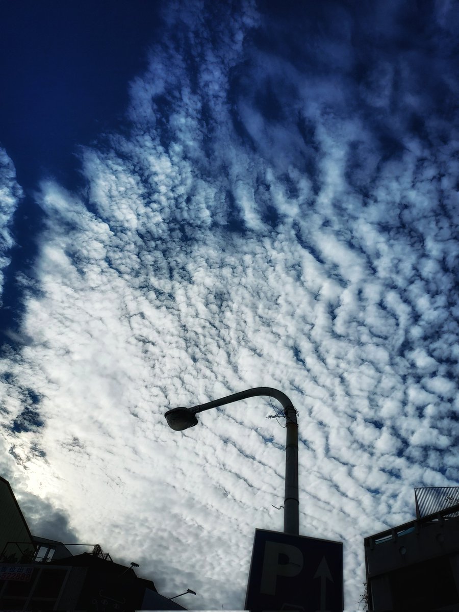 うろこぐも

©️skinskin