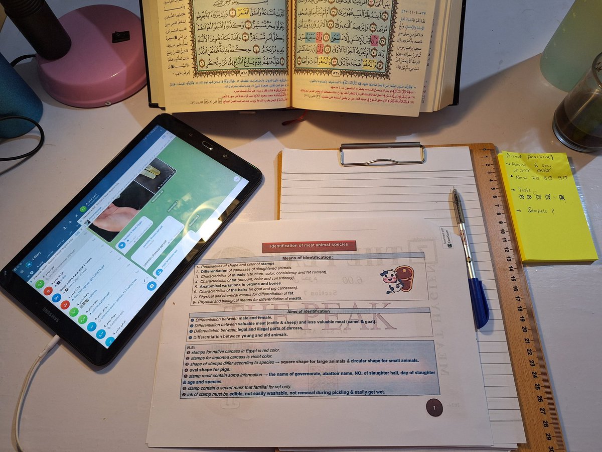elsamsomaz's tweet photo. وَأَن لَّيْسَ لِلْإِنسَانِ إِلَّا مَا سَعَىٰ وَأَنَّ سَعْيَهُ سَوْفَ يُرَىٰ ثُمَّ يُجْزَاهُ الْجَزَاءَ الْأَوْفَىٰ .
ليلة امتحان اللحمة 
8 out of 16. https://t.co/tTCBRUmudY