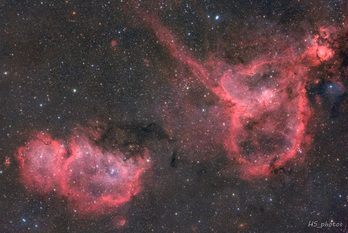 #2024年自分が選ぶ今年の4枚

ここら辺かな🤔