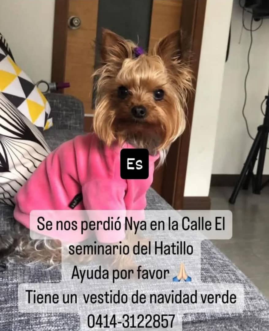 Magdalena Noda (@magdanoda) on Twitter photo 