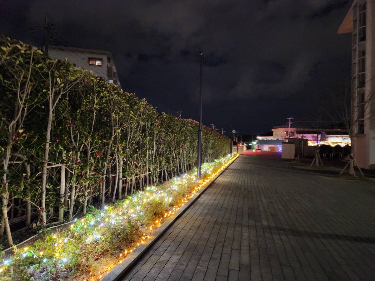 ksu_denkouken's tweet photo. 電気工学研究部によるキャンパスイルミネーション実施中です！80,000球の電飾で大学キャンパスを彩ります！
今年はねこ愛好会 @_worldneko  の皆さんとタッグを組み、学内に光る猫さんを配置しました！探してみてね！(=^・^=)  #灯篭を撮ろうにゃー https://t.co/V8NzZp4sqS