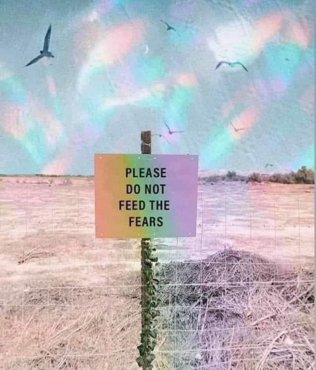 The Fourth Way (@the4thwayyt) on Twitter photo 