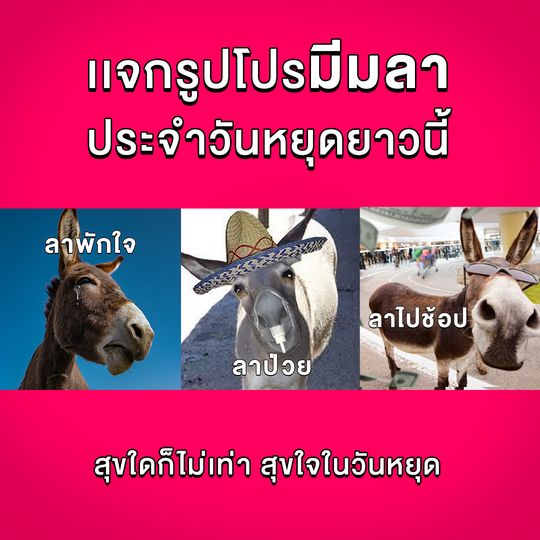 หยุดยาวนี้ มีรูปลาเป็นของตัวเองหรือยัง 🏝️
ลาที่ดีคือลาซาด้าช้อปเลยไม่เสียเวลา ไม่ต้องเทียบ!

🛒ช้อปลาซาด้า ราคาดีไม่ต้องเทียบ 
ไปช้อปเลย 📲 https://t.co/xmGz7Iy3hc

#ลาซาด้าราคาดีกว่าไม่ต้องเทียบ #การันตีราคาถูก #LazadaTH https://t.co/zHvsH7Rp8i