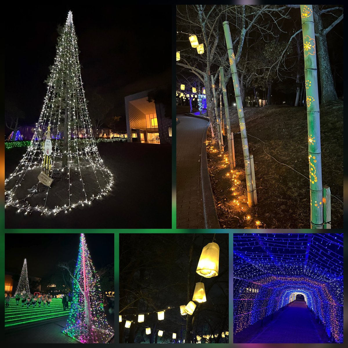 冷たくて寒い日曜日。
お仕事の方もお休みの方もお疲れ様♬*ﾟ

今週はいよいよクリスマスですね🎄

金曜日は仕事が終わってから大蔵海岸へ。
夜の闇に浮かぶ明石海峡大橋と海岸沿いのイルミネーションがとてもキレイでした✨