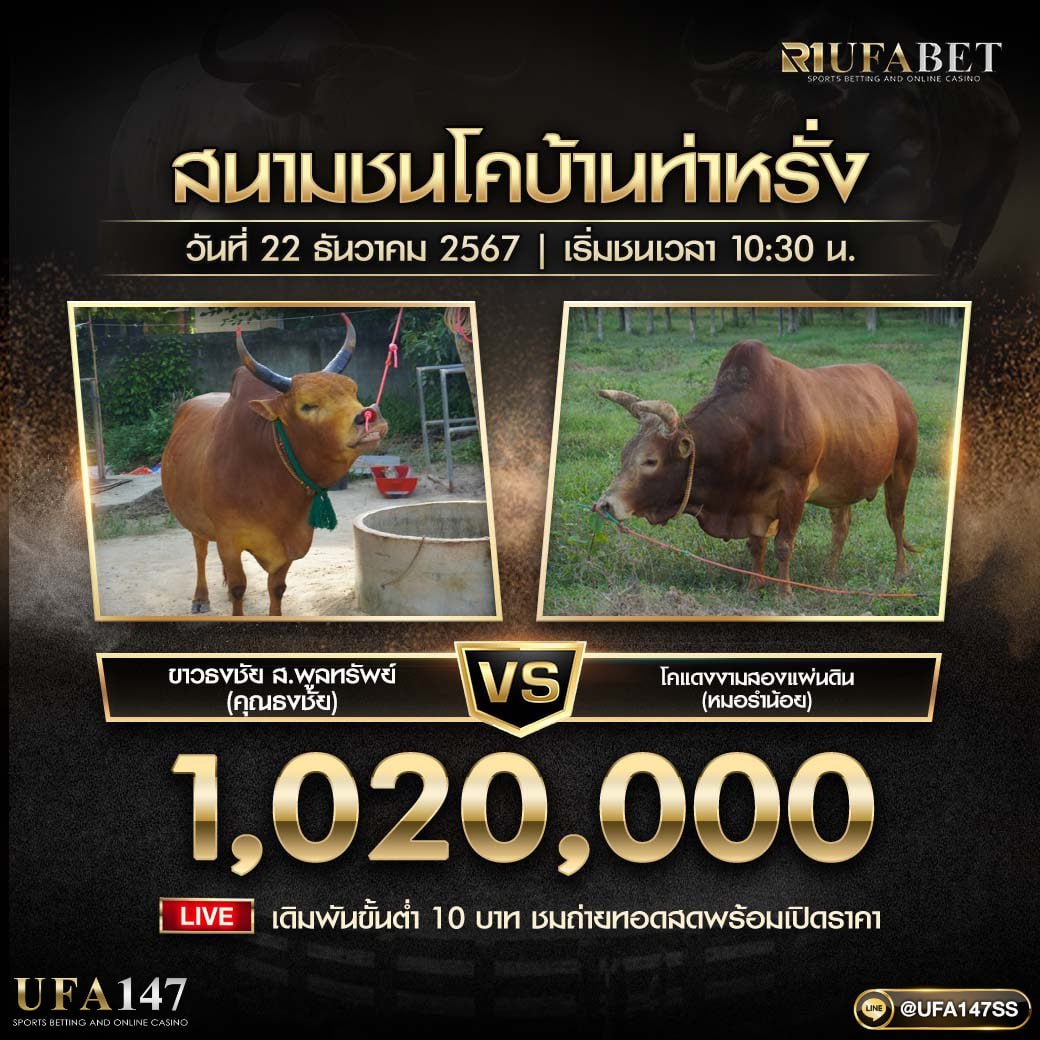sychn20's tweet photo. 🐂 โปรแกรมวัวชนวันนี้🐂
📅 ประจำวันที่ 22/12/2567   
💸 ให้ราคาค่าน้ำดีที่สุด ต้องที่นี่ ✨ 
📺 ดูวัวชนสด : https://t.co/HKobViMzFf
📲 ช่องทางเดิมพัน 
👉 https://t.co/fF18fg8qRO     
. 
#ufa147 #ไก่ชนออนไลน์ #ไก่ชน #คนชอบไก่ #ไก่ชนแดนใต้ https://t.co/UxVOqiwR3Y