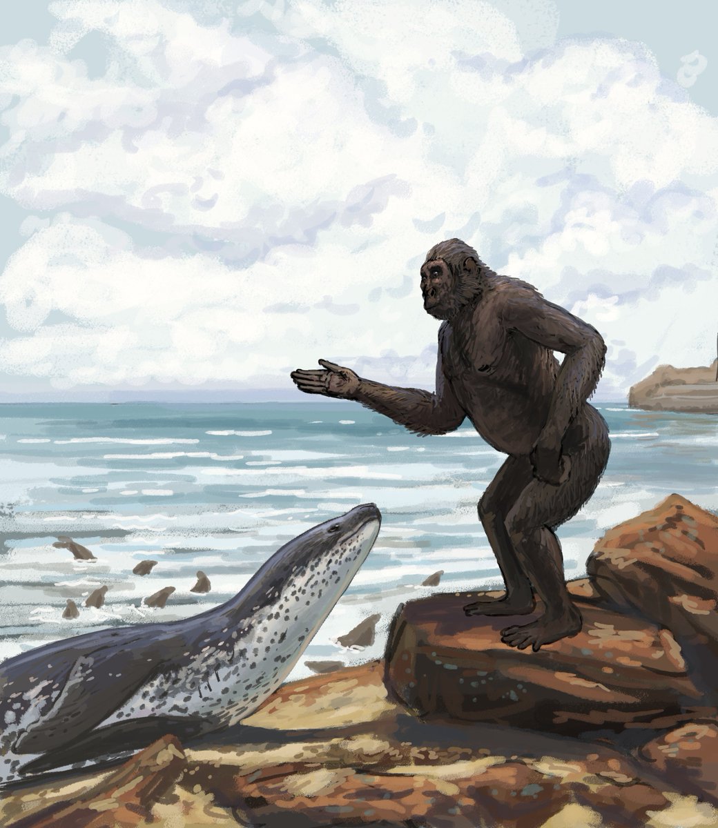 Joschua Knüppe tweet media