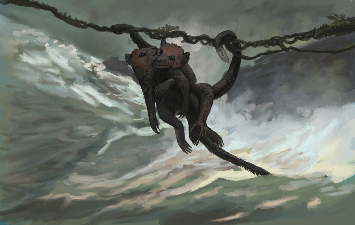 Joschua Knüppe tweet media