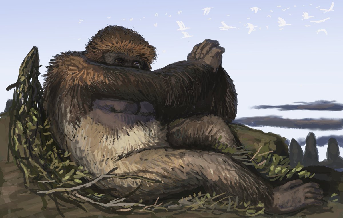 Joschua Knüppe tweet media