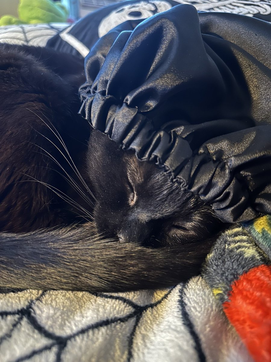 bugbaee's tweet image. gotta keep her hair in check