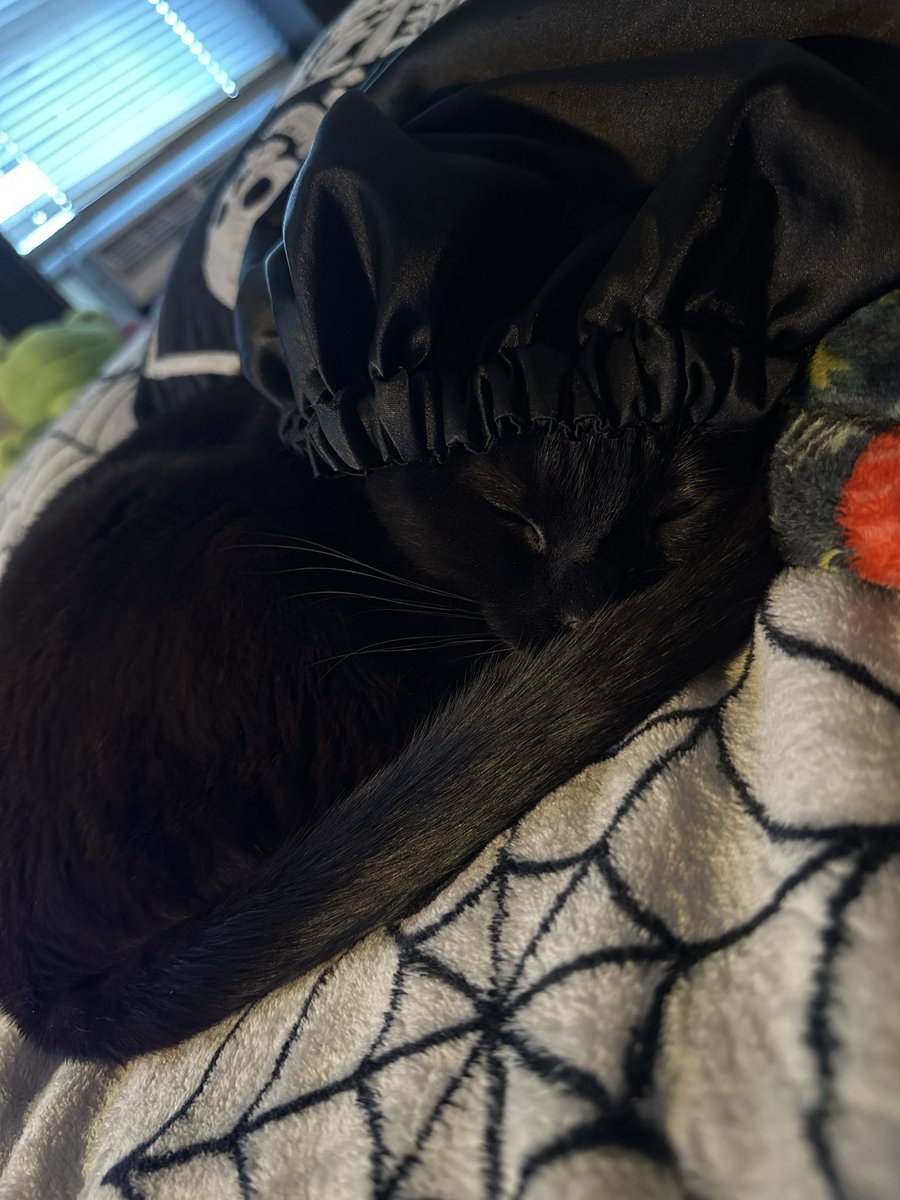 bugbaee's tweet image. gotta keep her hair in check