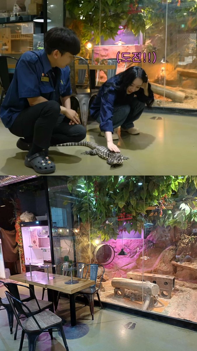 insomnicsy's tweet photo. Made a #Dreamcatcher pilgrimage to the animal cafe where Sua filmed for Ceci! 🐥

수아언니의 갔었던 곳이 오늘 갔어요. 재밌었다! (인썸냐분: @nyctophilia7day
@JHY_09 )

📍Table A, Hongdae

#드림캐쳐_성지순례 https://t.co/8Gxlvicgvx