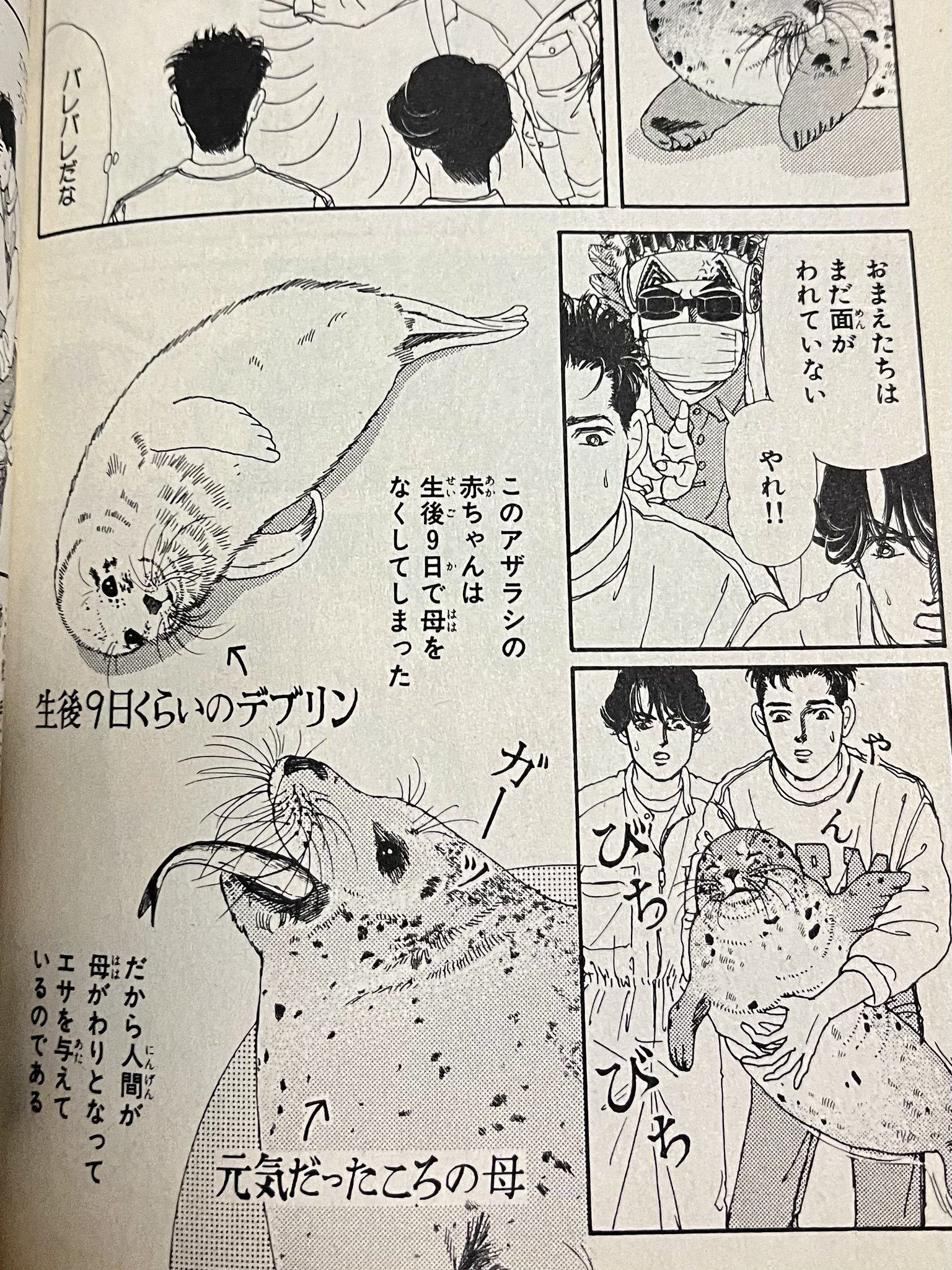 動物のお医者さん1巻〜3巻・5巻・7巻〜10巻・12巻(4巻・6巻・11巻抜け) Amazon.co.jp: どっちが強い!?X（12） 恐竜キッドをたおせ