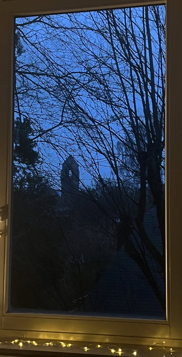 BirdingBrussels's tweet photo. 🕯️🕯️🕯️🕯️Bon quatrième Dimanche de l’Avent 😊✨#Rorate https://t.co/qvkU2IJJ30