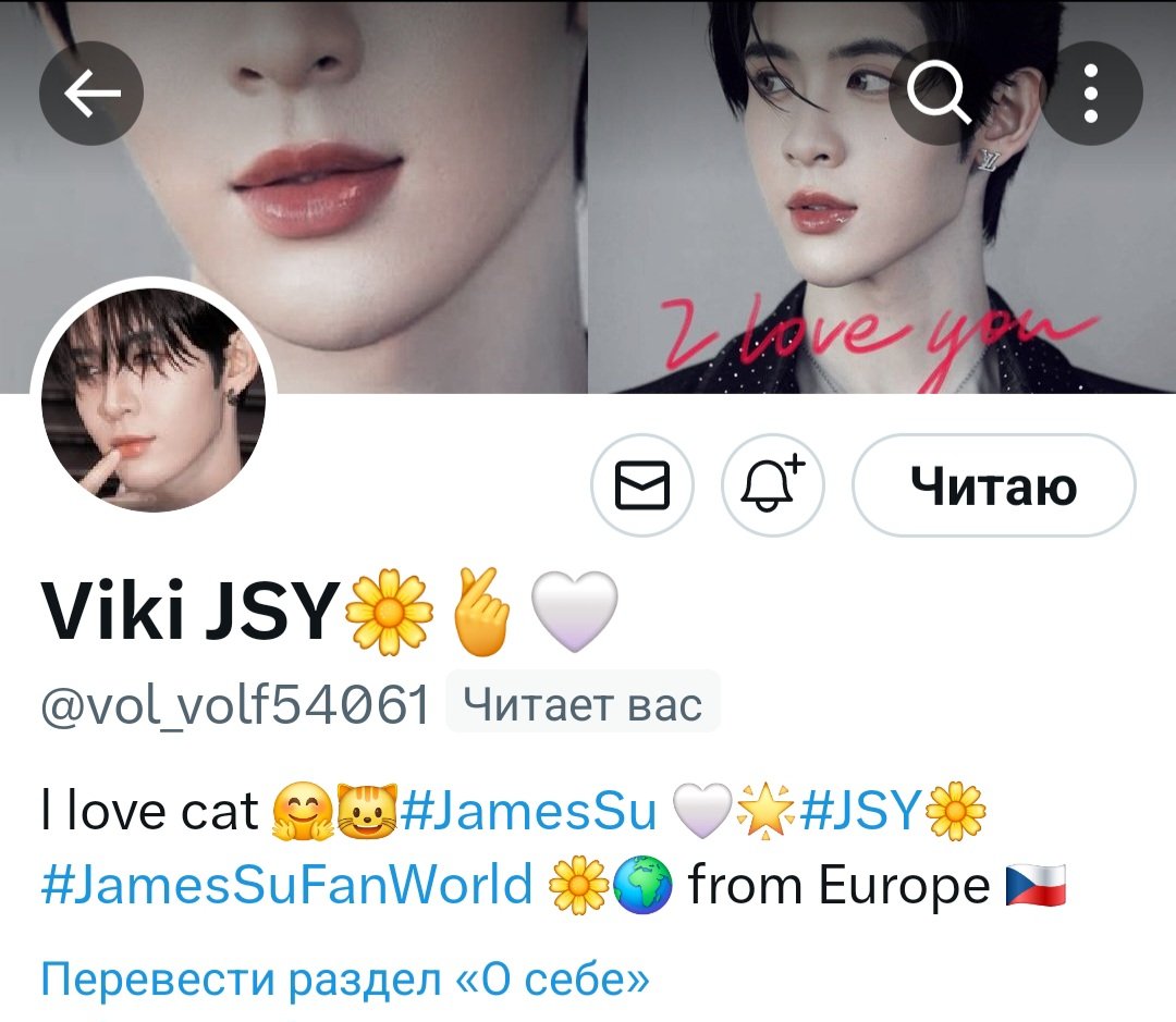 Maluto24's tweet photo. Let's all follow this beautiful JSY @vol_volf54061 who is loyally supporting and loves our kitten James 🤍
#JSYforJames
#JSY
#JamesSu https://t.co/1MQsqPPvuE