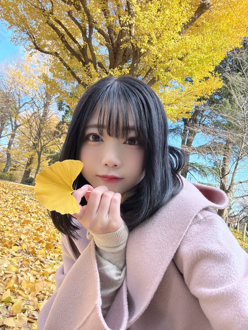 https://x.com/usa_miharu_/status/1870746598898340327/