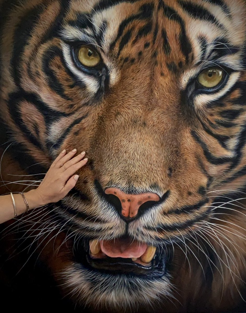 wildlife_art's tweet photo. Allure’ tiger acrylic painting on canvas - artist for scale 🎨
For more info: https://t.co/9FkMQyLNLT send me an email or DM
#tigers #tigerpainting #largeart #acrylicpainting #realism #artist #hyperrealism #hyperrealisticart ##studioartist #contemporarypainting https://t.co/CU6nikk5YL