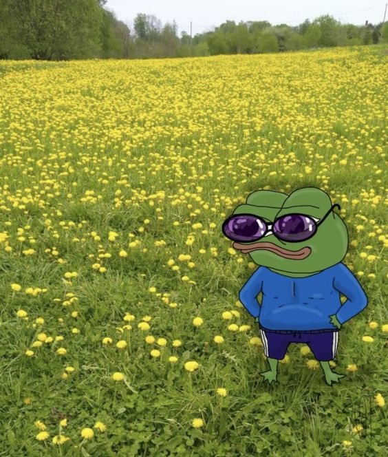 polkastarter's tweet photo. Gm 🌱 https://t.co/7J4vsfUHHa