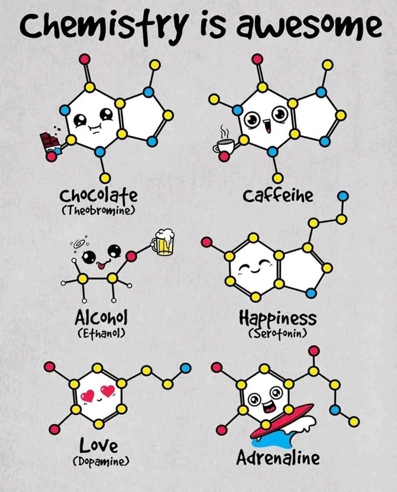 encoderX's tweet image. 