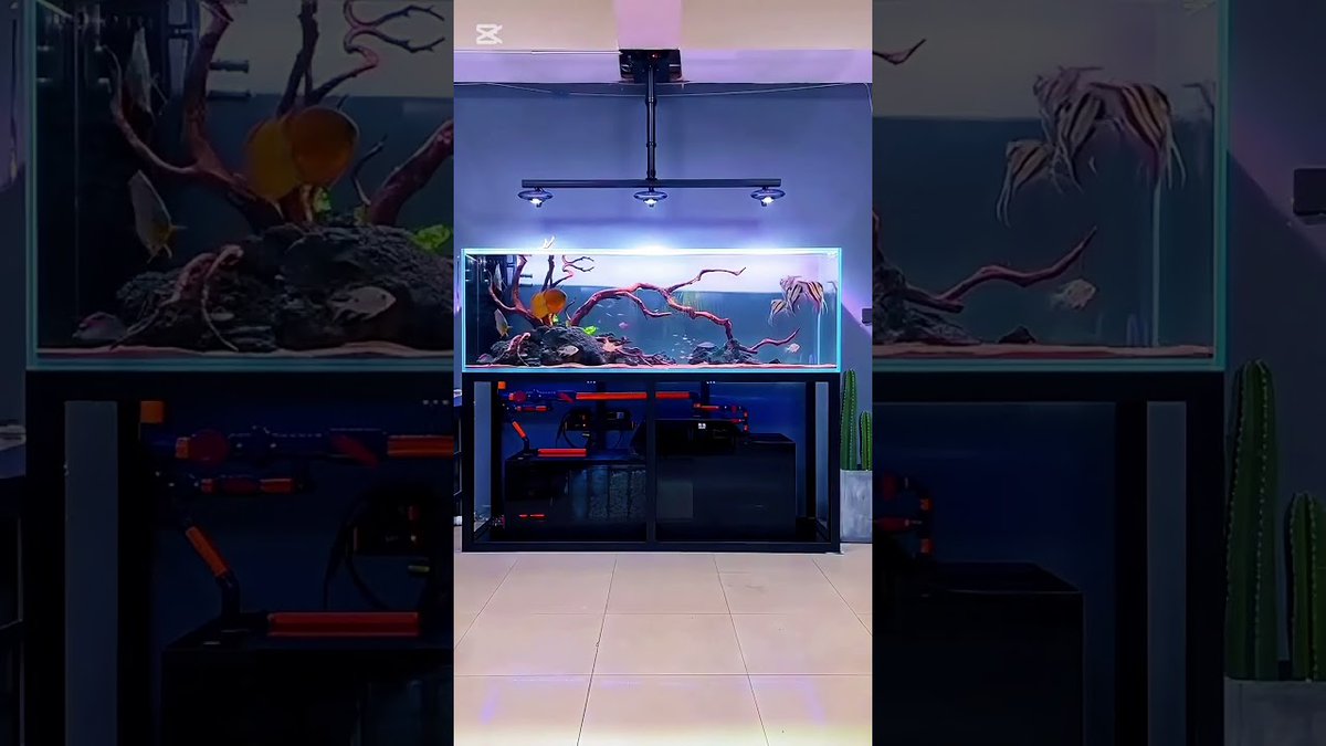 FlakeFood's tweet image. Aquariums: Lighting System above the ...
 
flakefood.com/623382/aquariu…
 
#LightAboveAnAquarium #LightingSystem #LightingSystemLikesYou