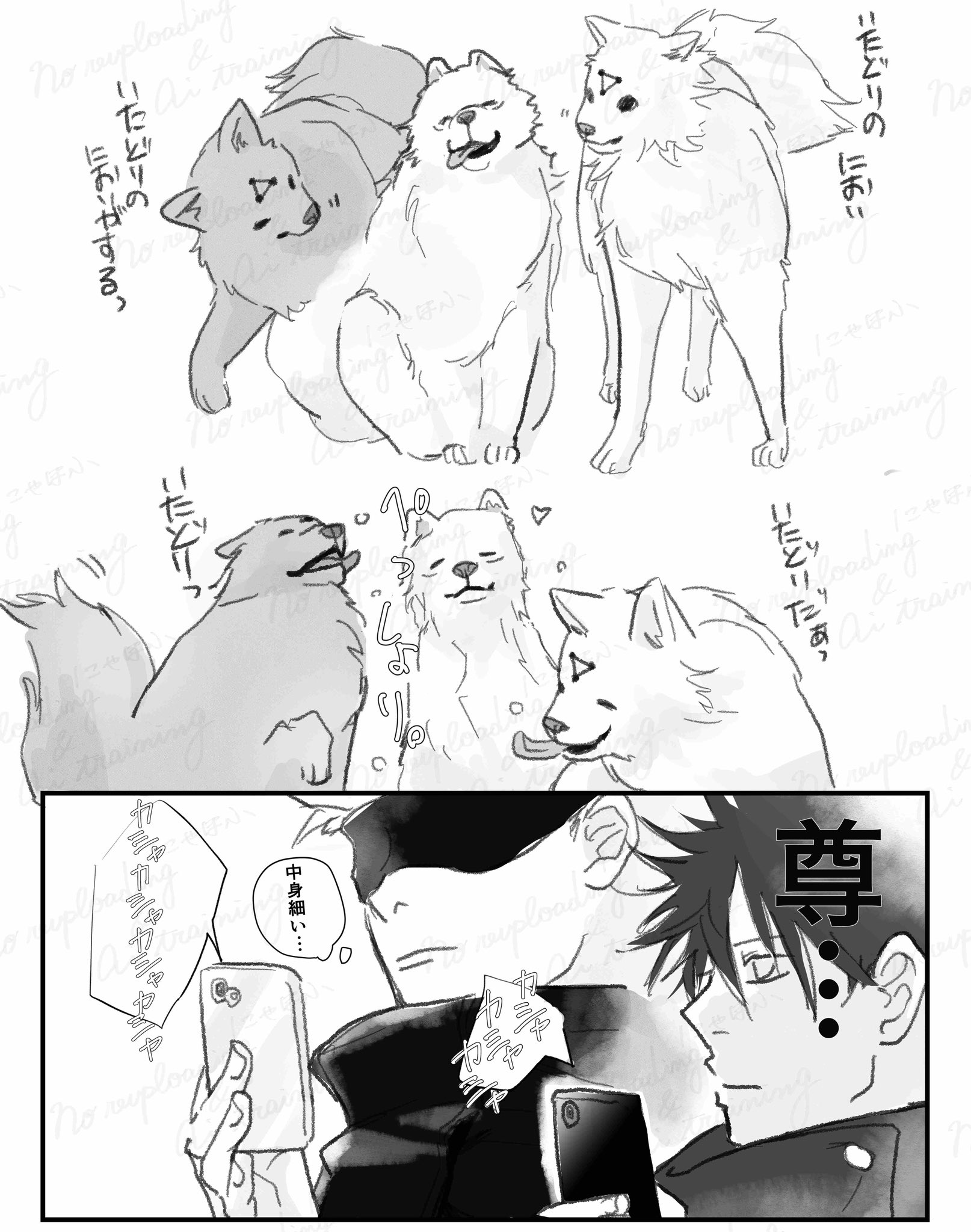 🤍🐈にゃんまる🐈🤍 (@meow_321_) / X
