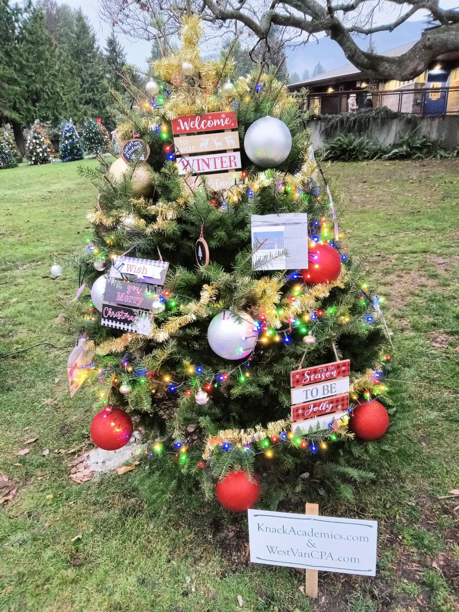 AliceCretelli's tweet photo. ❄️Happy Holidays!  Do you know there are over 140 beautifully decorated Christmas trees lining the West Vancouver Waterfront until Jan 7, 2025?

🎄Come and visit our tree at Dundarave Beach, and enjoy a scenic walk in this magical winter😀!

#WestVan, #NorthVan, #Ambleside https://t.co/f2PMPEb06a