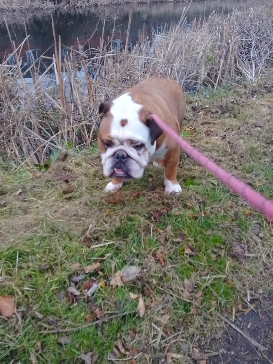 This poor little fella isn’t feeling too good today! 😩