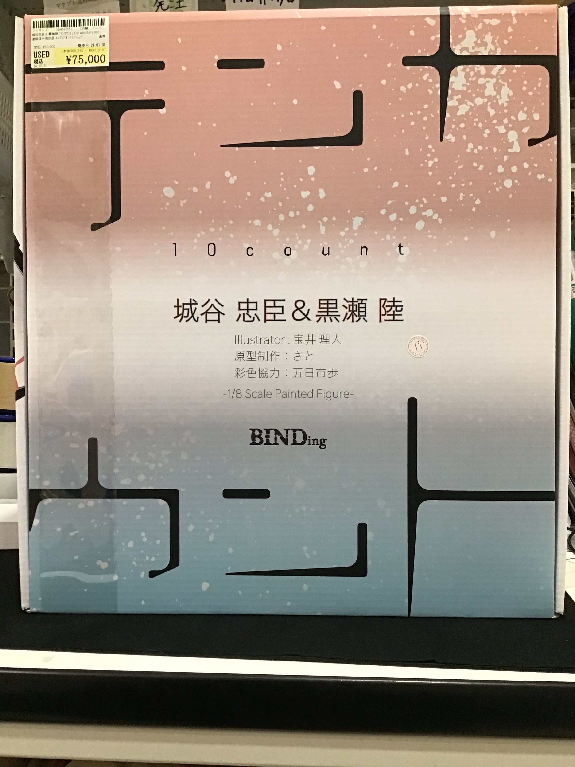 黒瀬陸 城谷忠臣 テンカウント 両面描き下ろし抱き枕カバー ピローケース Amazon.co.jp: テンカウント 黒瀬陸 城谷忠臣 両面描き下ろし