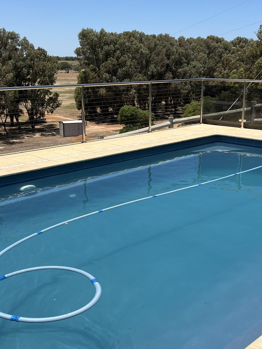 Darrin Lee tweet media