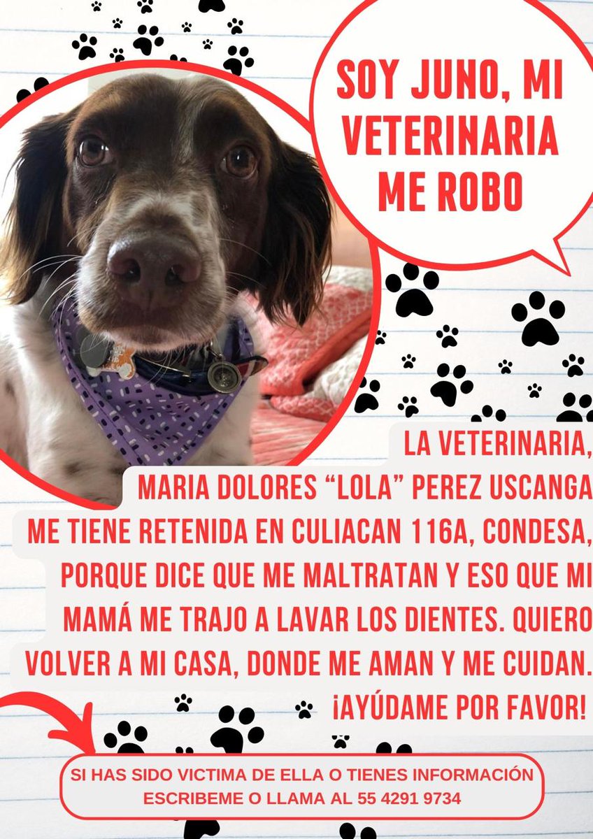 <a href="/Animales_CDMX/">AnimalesCDMX</a> <a href="/EnLaCondesaMx/">La Condesa</a> <a href="/enlaCondesaDF/">Proyecto Condesa DF</a> <a href="/ColCondesa/">Colonia Condesa</a> <a href="/Apoyo_Croqueton/">Apoyo Croquetón</a> <a href="/mascotasdifunde/">Difusión de mascotas</a> <a href="/mujersina/">Eva</a> <a href="/arca_satoshi/">El arca de Satoshi</a> <a href="/DefensaAnimal/">Gente por la Defensa Animal (GEPDA)</a> <a href="/Entrepyg/">Entre perros y gatos</a> <a href="/firulaisasalvo/">Firulais a salvo</a> <a href="/FundacionToby/">Fundación Toby</a> ayuda RT  🙏 Juno es de unos amigos 🐶🙏