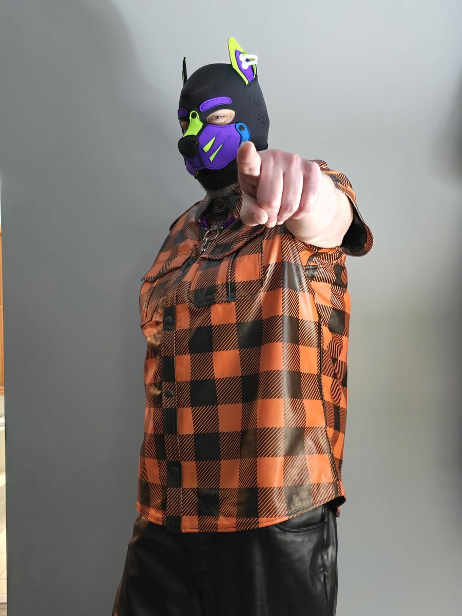 Pup_Tizzy's tweet image. Awruff, good boys do both. 💜💚🥰