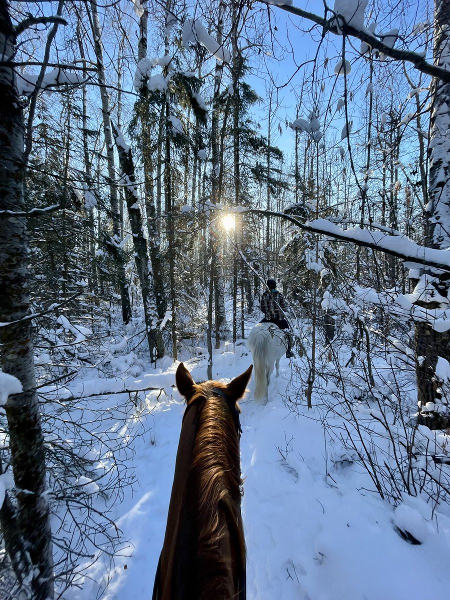 LegitDocBrown's tweet photo. @drdagly This was my Solstice ride! https://t.co/x9Mr1wnK3z