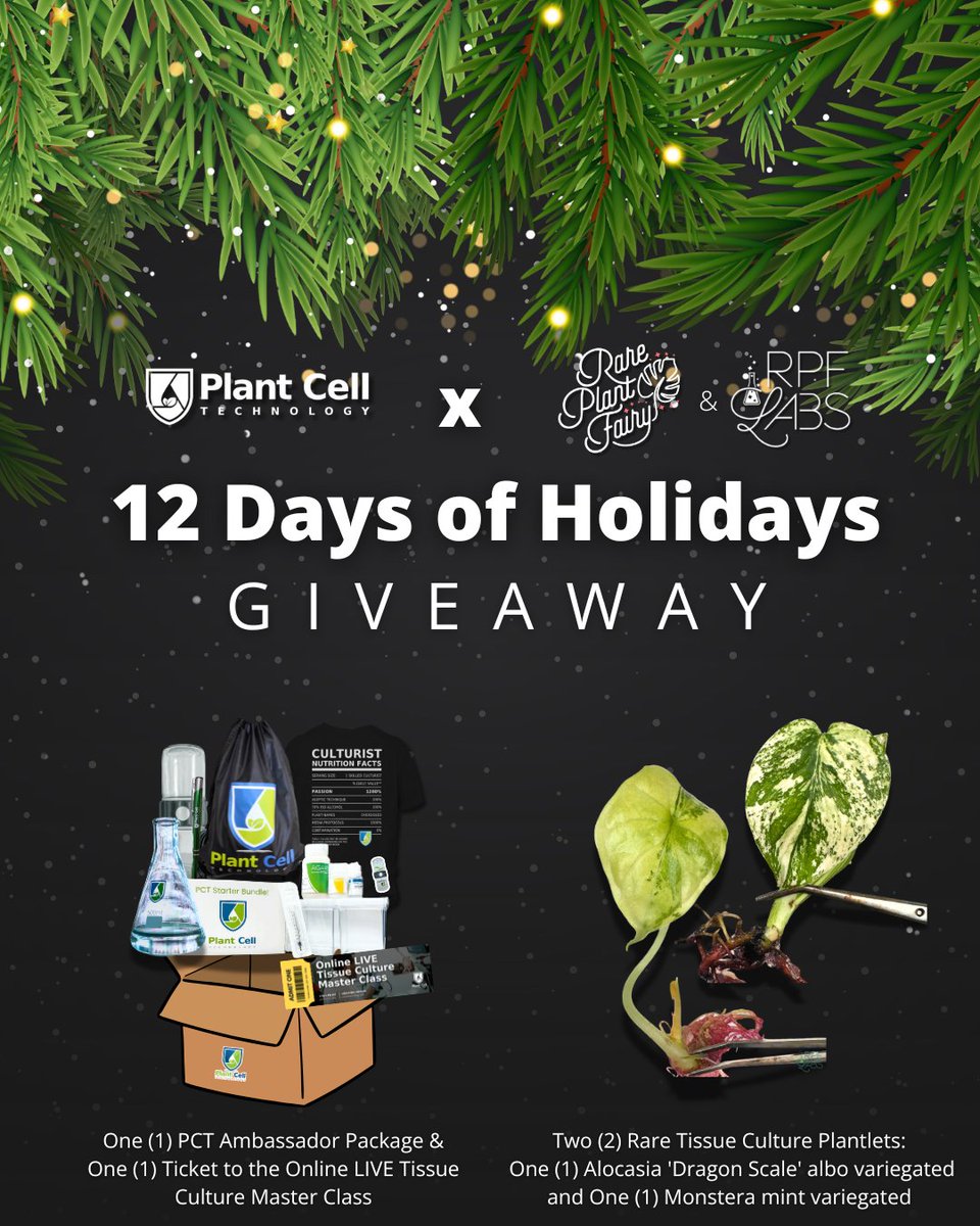 Today, we're excited to team up with @rareplantfairy &amp; @rareplantfairylabs to offer you the chance to win some truly stunning and unique tissue culture plantlets, plus an amazing prize bundle from PCT!

Click here to enter: gleam.io/Dfb0W/12-days-…

#PlantTissueCulture #RarePlants