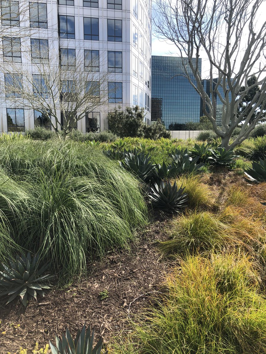 snnann_b's tweet photo. Orange County Museum of Art https://t.co/0tEih8MajB