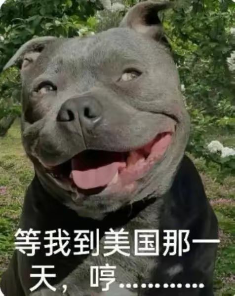 LuftderFrei's tweet photo. @fkchinabitch12 @BOKIBOY777 @andyHo86601579 @Snofy8 https://t.co/3rgJkRUu0q
