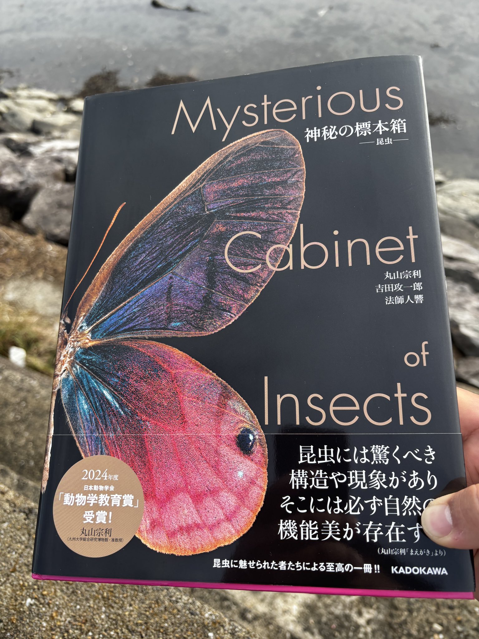 日本の重要な昆虫類・11冊/第2回調査のうち我が国に生息する野生 日本の重要な昆虫類・11冊/第2回調査のうち我が国に生息する野生
