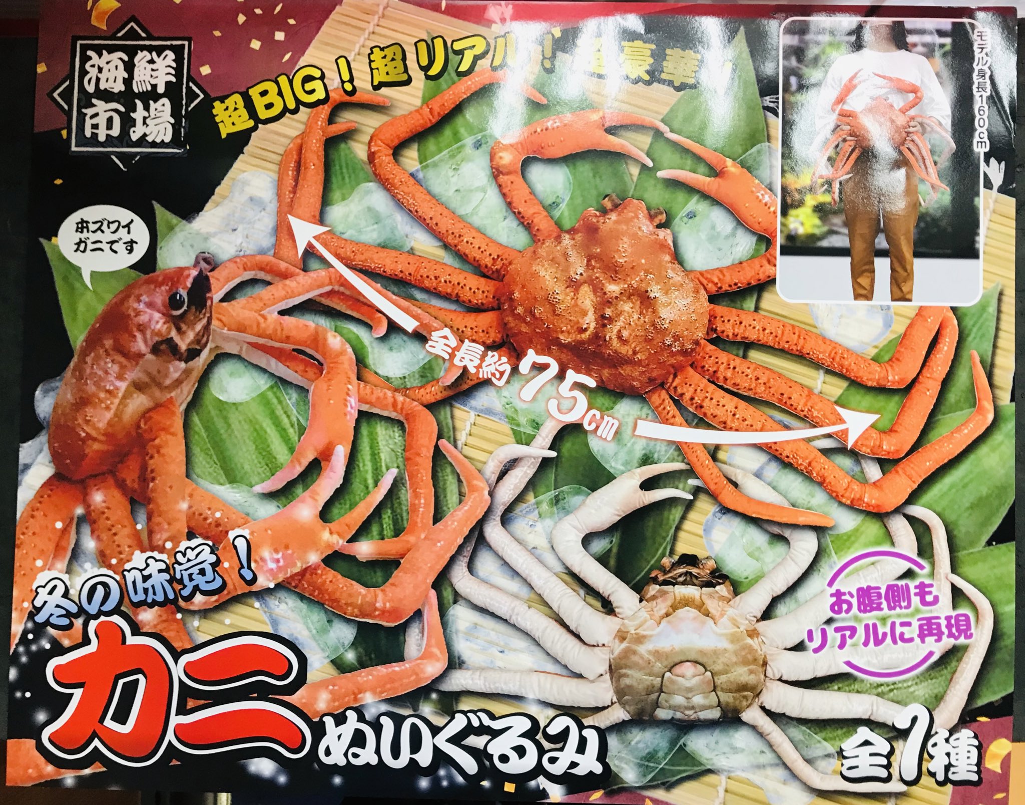 驚きの価格が実現！ GiGO 松江  X: on ぬいぐるみ